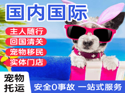 朔州滋润航空空运国际宠物托运 【国